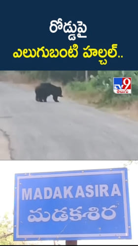 రోడ్డుపై ఎలుగుబంటి హల్చల్.. ఇదిగో వీడియో