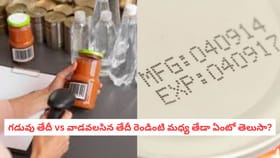 గడువు తేదీ vs వాడవలసిన తేదీ రెండింటి మధ్య తేడా ఏంటో తెలుసా?