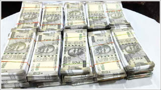 Telangana: ఐడియా అదుర్స్.. కోతులను అడవి బాట పట్టించేందుకు శాశ్వత పరిష్కారం ఇదిగో! వీడియో