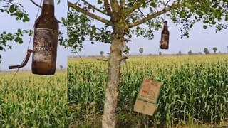 2,000 ఏళ్ల పురాతన మమ్మీలపై CT స్కాన్‌.. రిపోర్ట్ చూసిన సైంటిస్టులే షాక్‌! వెలుగులోకి సంచలన రహస్యాలు