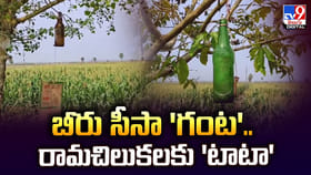 బీరు సీసా 'గంట'.. రామచిలుకలకు 'టాటా'