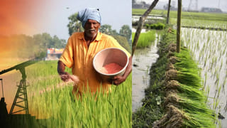 LPG Gas: వంట గ్యాస్‌పై కేంద్రం శుభవార్త.. ఎల్‌పీజీ సరఫరాపై కీలక ప్రకటన!