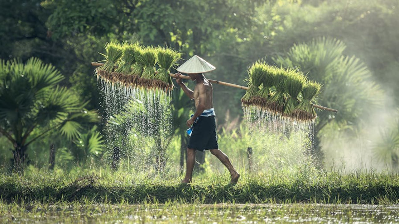 ఒక వేళ విద్యుత్ ఏడాది పాటు లేకపోతే  రైతులు వ్యవసాయం కూడా చెయ్యలేరు. ఎందుకంటే, పంటలు పండాలంటే మోటార్లు అవసరం. మనిషి తాగడానికి కూడా బావిలో ఉన్న నీళ్ల మీద ఆధారపడతారు. 