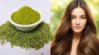 పార్లర్‌తో పనిలేదు..కేవలం 10 రూపాయల ఖర్చుతో ఇంట్లోనే హెయిర్ స్పా.. పట్టులాంటి జుట్టు మీ సొంతం!