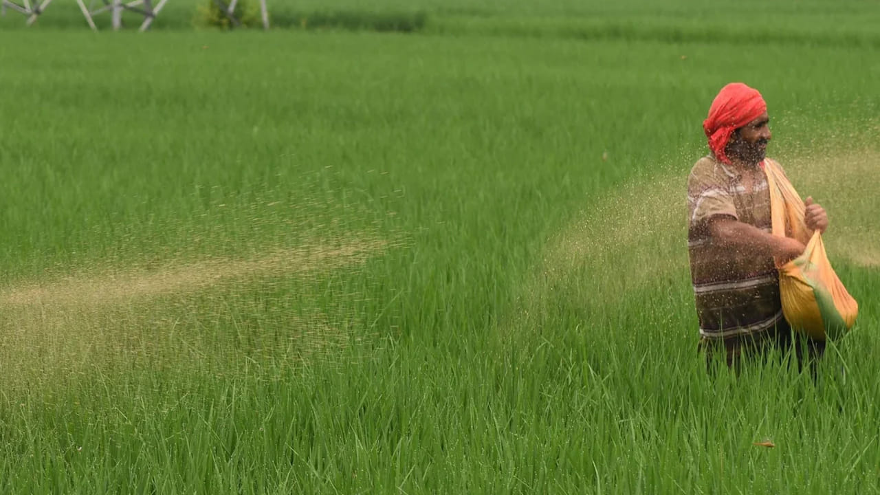 ఈ పరిస్థితి భారతదేశంపై కూడా ప్రభావం చూపే అవకాశం ఉంది. దేశం ప్రతి నెలా సుమారు 2 మిలియన్ టన్నుల ఎరువులను విదేశాల నుంచి దిగుమతి చేసుకుంటుంది. ముఖ్యంగా మురియేట్ ఆఫ్ పొటాష్ (MOP) కోసం భారత్ 100 శాతం దిగుమతులపై, అలాగే DAP కోసం సుమారు 60 శాతం దిగుమతులపై ఆధారపడుతోంది. 2024–25 ఆర్థిక సంవత్సరంలో మాత్రమే కేంద్ర ప్రభుత్వం ఎరువుల సబ్సిడీలకు దాదాపు రూ.1.9 లక్షల కోట్లు ఖర్చు చేసింది.