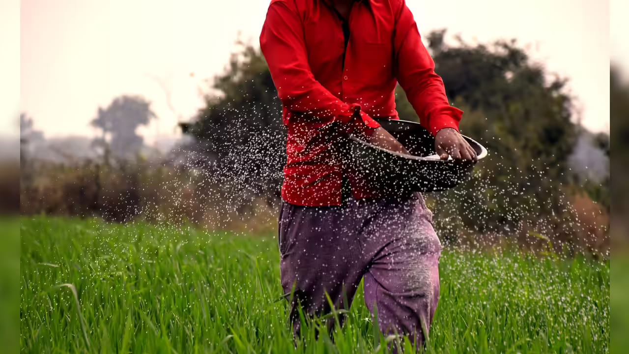 సాధారణంగా మధ్యప్రాచ్యం అంటే చమురు ఉత్పత్తి గుర్తుకు వస్తుంది. కానీ సౌదీ అరేబియా, ఖతార్, ఒమన్, యూఏఈ వంటి దేశాలు ప్రపంచానికి యూరియా, సల్ఫర్, అమ్మోనియా వంటి కీలక ఎరువుల ప్రధాన సరఫరాదారులు కూడా. ముఖ్యంగా ఇరాన్ ప్రపంచంలో మూడవ అతిపెద్ద అమ్మోనియా ఉత్పత్తిదారు. పంటల పెరుగుదలకు అవసరమైన ఎరువుల తయారీలో ఈ రసాయనం కీలకం. యుద్ధం కొనసాగితే ఈ దేశాల్లో ఉత్పత్తి, సముద్ర మార్గ రవాణా రెండూ దెబ్బతినే ప్రమాదం ఉంది.