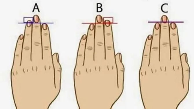 మీ చేతి వేళ్ల ఆకారాన్ని బట్టి మీరు ఎలాంటి వారో తెలుసుకోవచ్చు!