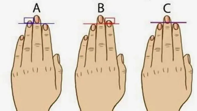 మీ చేతి వేళ్లే మీ భవిష్యత్తు చెబుతాయని తెలుసా?