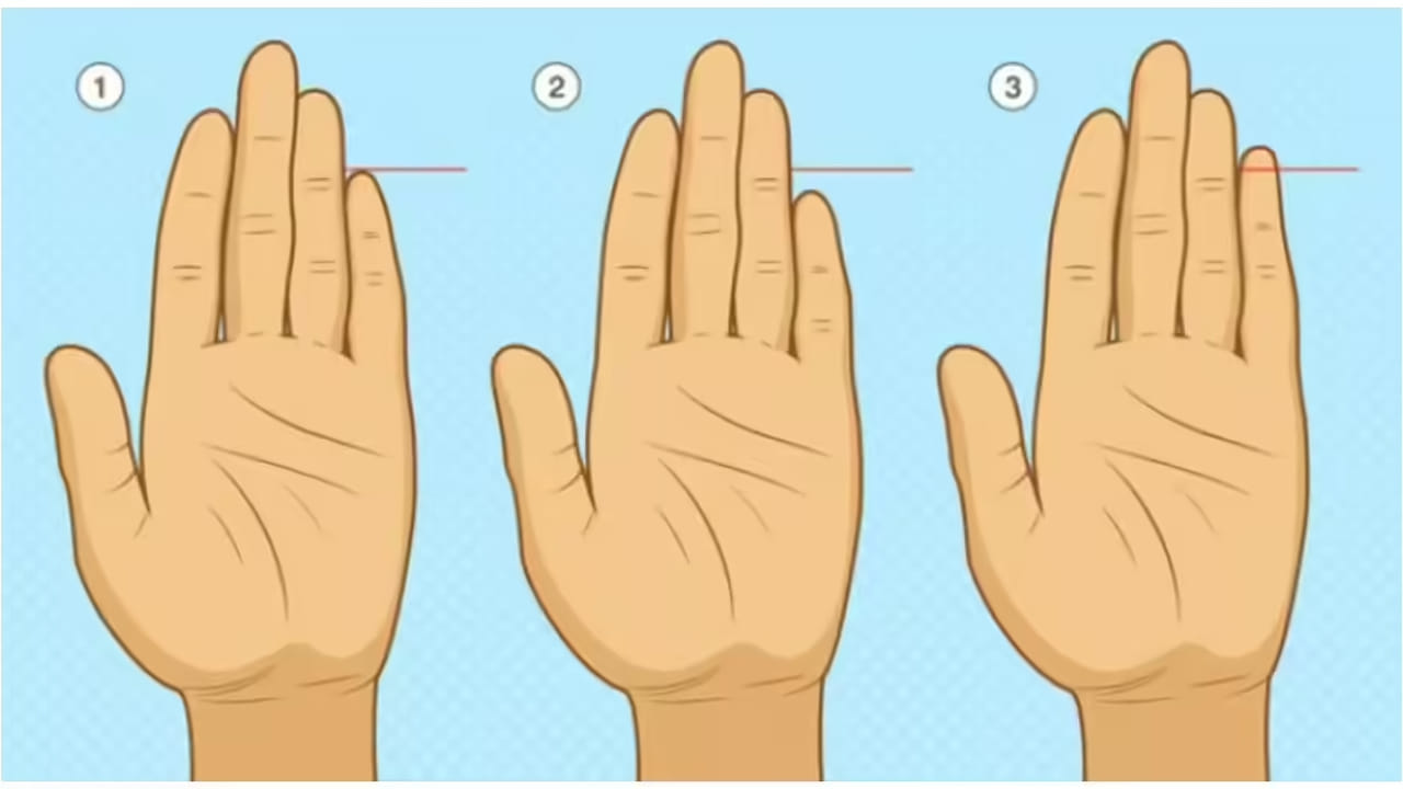 హస్తసాముద్రికంలో చేతి వేళ్లను పరిశీలించడం ద్వారా ఒక వ్యక్తి స్వభావం, భవిష్యత్తు ధోరణుల గురించి తెలుసుకోవచ్చని జ్యోతిష్య నిపుణులు వివరించారు. చేతికి ఉన్న ఐదు వేళ్లు నవగ్రహాలతో అనుసంధానితమై ఉంటాయని, వాటి ఆకారం, పొడవు, కణుపులు, వంపులను బట్టి అంచనాలు చేయవచ్చని పేర్కొన్నారు.