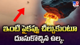 ఇంటి పైకప్పు చీల్చుకుంటూ దూసుకొచ్చిన ఉల్క..