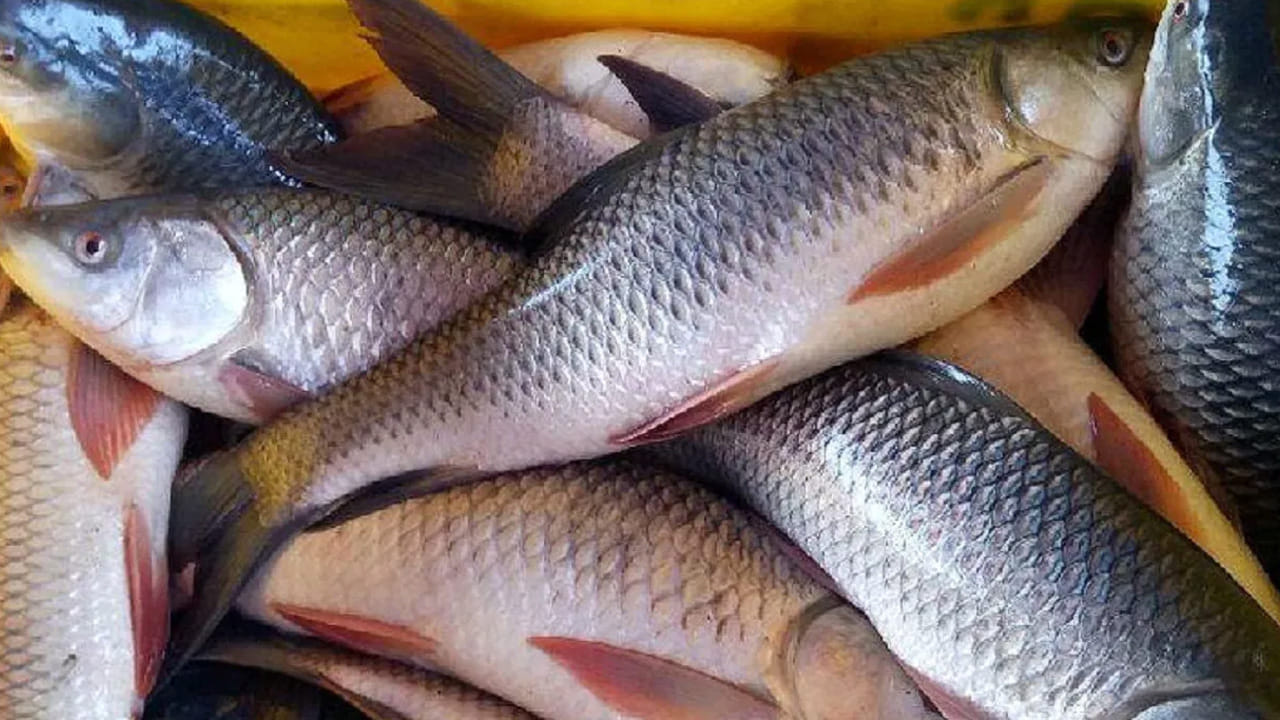 
పాలు  లేదా పెరుగు: ముందుగా చేప ముక్కలను ఒక పాత్రలో తీసుకుని  దానిలో ఒక గ్లాస్ పాలు లేదా పెరుగు వేసి 30 నిమిషాల పాటు  అలా ఉంచి గోరు వెచ్చని నీళ్లతో కడిగితే అది మొత్తం పోతోంది. కూర వండేటప్పుడు ఇలా చేయండి. 