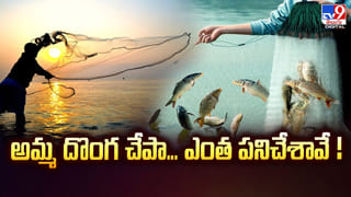 గ్రామస్తులపై తేనెటీగల దాడి..15 మంది..