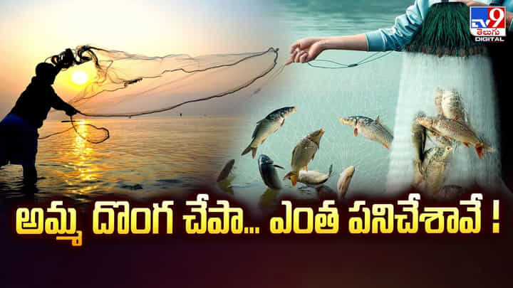 అమ్మ దొంగ చేపా... ఎంత పనిచేశావే ! అమ్మ దొంగ చేపా... ఎంత పనిచేశావే !
