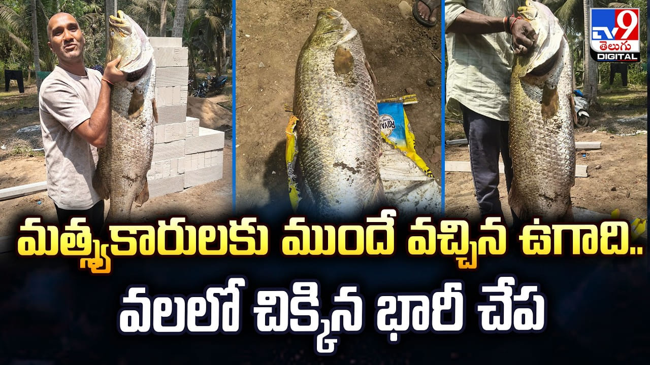 మత్స్యకారులకు ముందే వచ్చిన ఉగాది.. వలలో చిక్కిన భారీ చేప