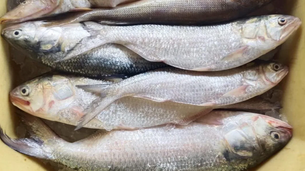 చేపల కూర నీచు వాసన రాకుండా ఉండాలంటే ఈ టిప్స్ పాటిస్తే చాలు. వాసన రాకుండా ఉంటుంది. అలాగే, కూర కూడా కమ్మగా ఉంటుంది. మీరు కూడా ఈ సారి చేపలను తెచ్చినప్పుడు ఈ చిట్కాలు ఫాలో అవ్వండి.