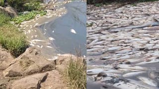 Weather Report: ఓవైపు వర్షాలు, మరోవైపు ఎండలు.. తెలుగురాష్ట్రాలో వాతావరణం ఏరోజూ ఎలా ఉండబోతుంది!