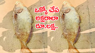 Viral Video: అరె ఎవర్రా మీరంతా..! బీచ్‌లో కారు కడగాలని ప్లాన్ చేస్తే.. చివరికి ఇలా..!