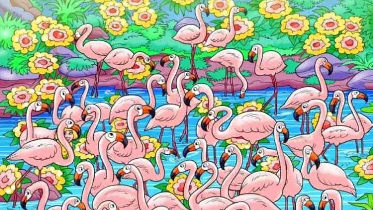 పజిల్స్, ఆప్టికల్ ఇల్యూషన్స్ వంటివి మెదడు పనితీరును మెరుగు పరచడమే కాకుండా, దృష్య నైపుణ్యాన్ని కూడా పెంచుతాయి. అందుకే చాలా మంది వీటిని ఎక్కువగా పరిష్కరిస్తుంటారు. ముఖ్యంగా ఒత్తిడిని తగ్గించి, మానసిక ప్రశాంతతను మెరుగుపరుస్తాయి. ఇక ఇలాంటి గేమ్స్  ఆడే సమయంలో, సమస్యను పరిష్కరిస్తే కలిగే ఆనందం మాటల్లో చెప్పలేం. ఇవి ఆరోగ్యానికి కూడా చాలా మేలు చేస్తాయి.