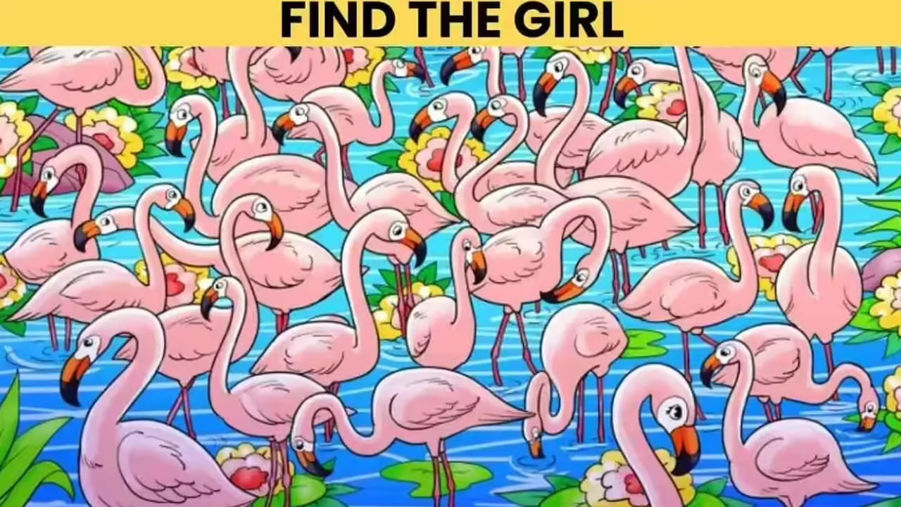 ఇక ఆప్టికల్ ఇల్యూషన్ విషయానికి వస్తే, పైన ఫొటో ఉంది.అందమైన సరస్సులో లేత గులాబీ రంగులో ఉన్న కొంగలు కనిపిస్తున్నాయి. అన్నీ ఒకే రంగులో ఉన్నప్పటికీ ఒకొక్కక్కటీ ఒక్కో విధంగా ఉంది. ఇక సరస్సులో, ఆకులు, పూలు కనిపిస్తున్నాయి.