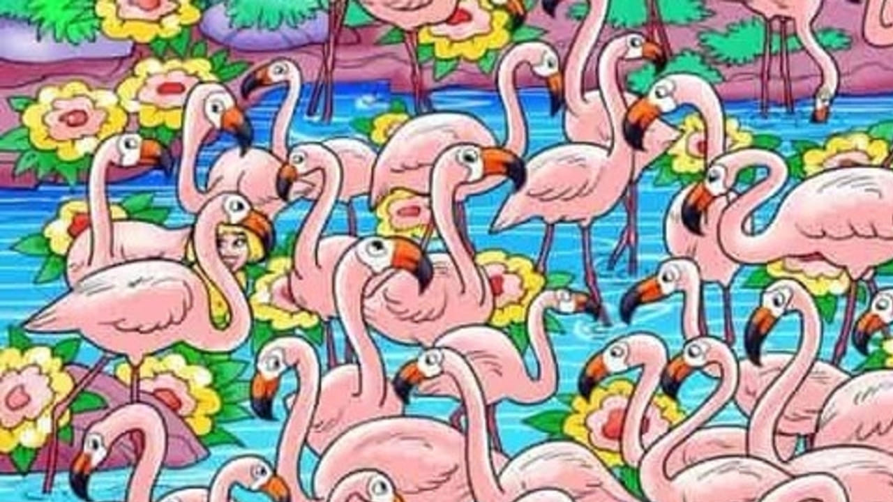 అయితే ఈ కొంగల మధ్య ఓ అందమైన అమ్మాయి కూడా దాక్కొని ఉంది. మరి మీరు ఈ అమ్మాయి ఎక్కడ ఉందో పది సెకన్స్‌లో వెతుకుతారా?  ఏమైంది? అమ్మాయి ఎక్కడుందో కనిపెట్టారా? ఎంత వెతికినా అమ్మాయి కనిపించడం లేదా ఏంటి? అయితే కంగారు అవసరమే లేదు. అందమైన సరస్సులో, అమ్మాయి ఎక్కడుందో ఇప్పుడు మీరు తెలుసుకోండి.