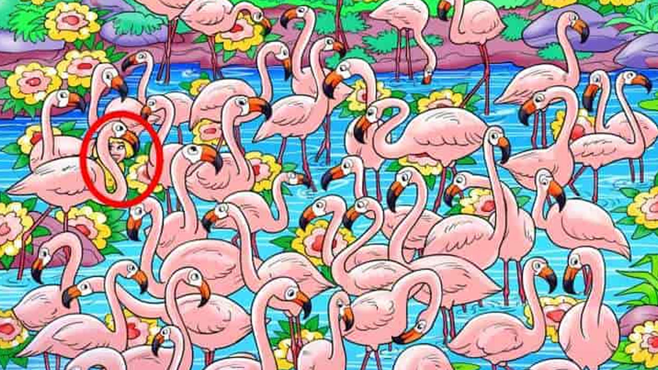 పై ఫొటోలో జవాబు రివీల్ అయ్యింది. మీకు పై ఫొటోలో కొంగలు , సరస్సు,  కనిపిస్తుందా? అయితే ఆఫొటోలో మధ్యలో ఒక కొంగ మెడ వద్ద అమ్మాయి చిన్నగా స్మైల్ ఇస్తూ తొంగి చూస్తున్నట్లు కనిపిస్తుంది. అంతే, అదే జవాబు. ఎవరు అయితే దీనికి ఆన్సర్ పదిని మిషాల్లో గుర్తు పట్టారో వారు చాలా తెలివై వారు అంటున్నారు నిపుణులు.