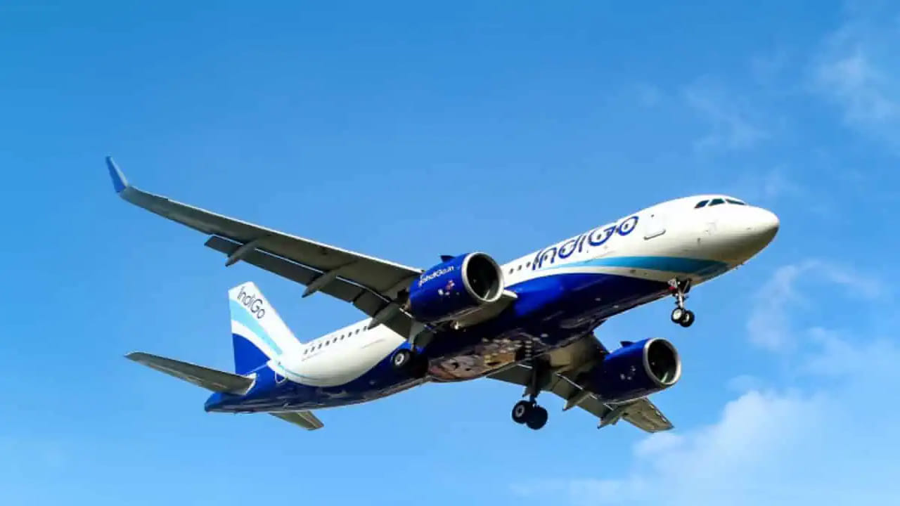 ట్రావెల్ ఇన్యూరెన్స్ తీసుకునే సమయంలో మీరు ఎంచుకున్న ఎంపికలు, నియమాలకు బట్టి మీరు ఆలస్యాలు, రద్దుకు బీమా కవరేజీ పొందవచ్చు. ఆలస్యం, రద్దుకు గల కారణాలు, క్లెయిమ్ దాఖలు చేయడానికి గల డాక్యుమెంట్స్‌తో పాటు పాలసీ వివరాలను జాగ్రత్తగా సమీక్షించుకోవాలి. బీమా కవరేజ్‌తో పాటు అదనపు ప్రయోజనాలను అందిస్తుందో.. లేదో చూసుకోవాలి.
