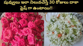 పువ్వులు ఇలా నిల్వ చేస్తే.. ఎక్కువ రోజులైనా ఫ్రెష్‌గా ఉంటాయి..