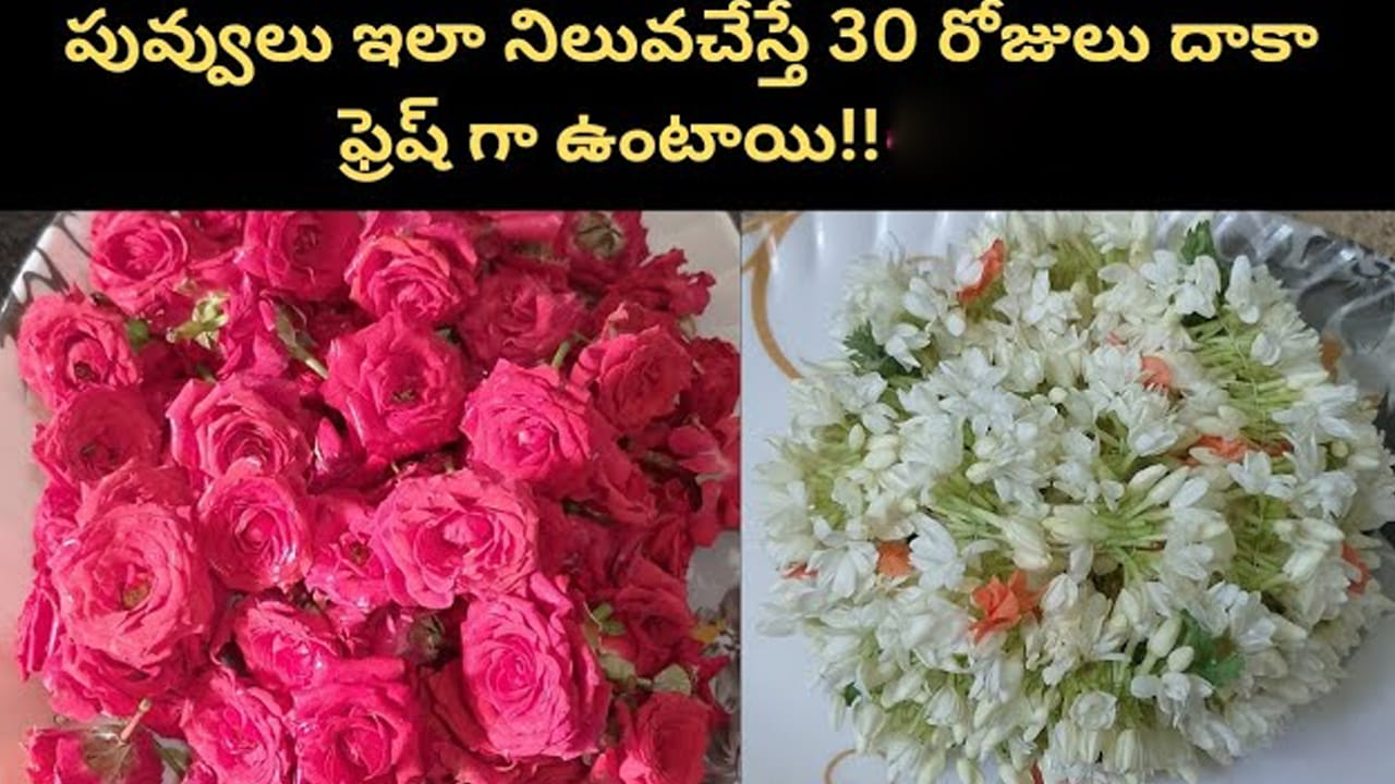 పువ్వులు ఇలా నిల్వ చేస్తే.. ఎక్కువ రోజులైనా ఫ్రెష్గా ఉంటాయి..