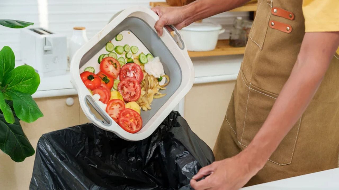 ప్యాక్‌డు ఫుడ్స్: చాలా మంది సమయం లేక ప్రాసెస్ చేసిన ఇప్పటికే వండిన పదార్థాలను ఎక్కువగా కొనుగోలు చేసేందుకు ఇష్టపడతారు. కానీ ఈ ఆహారాలు ఎల్లప్పుడూ ఖరీదైనవిగా ఉంటాయి. కాబట్టి, ఎప్పుడూ మీరు ఇంట్లోనే వాటిని వండుకోవడానికి ప్రయత్నించండి. అలాగే ఆహారాన్ని కూడా ఎక్కువగా వృధా చేకండి. ఫుడ్‌ వేస్ట్ కాకుండా ఉండేందుకు మీ కటుంబానికి అవసరైమనంత ఆహారం మాత్రమే వండుకోండి. అలాగే ఆహారాన్ని సరిగ్గా నిల్వ చేసుకోండి. ఈ టిప్స్ పాటించడం ద్వారా మీరు చాలా వరకు డబ్బును ఆదా చేసుకోవచ్చు.