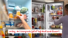 వామ్మో.. ఈ 3 పదార్థాలను ఫ్రిజ్ లో పెట్టి తింటే ఇంత డేంజరా?..