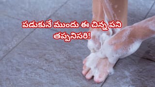 ప్లాస్టిక్ vs స్టీల్ vs గాజు.. ఫ్రిజ్‌లో పెట్టడానికి ఏ బాటిల్ బెస్ట్..? తప్పక తెలుసుకోండి..