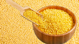 కేవలం రూ.10 తో ఇంట్లోనే బొద్దింకలను ఇలా తరిమేయండి.. ఒక్కదెబ్బతో మళ్లీ మీ ఇంటివైపు రావు..