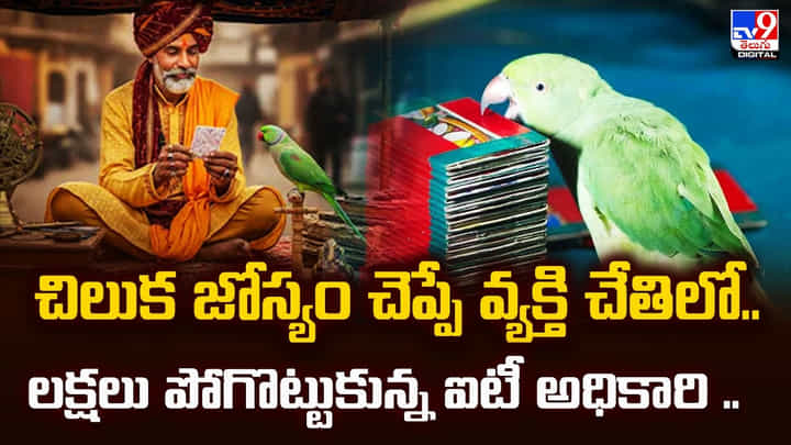 చిలుక జోస్యం చెప్పే వ్యక్తి చేతిలో.. లక్షలు పోగొట్టుకున్న ఐటీ అధికారి చిలుక జోస్యం చెప్పే వ్యక్తి చేతిలో.. లక్షలు పోగొట్టుకున్న ఐటీ అధికారి