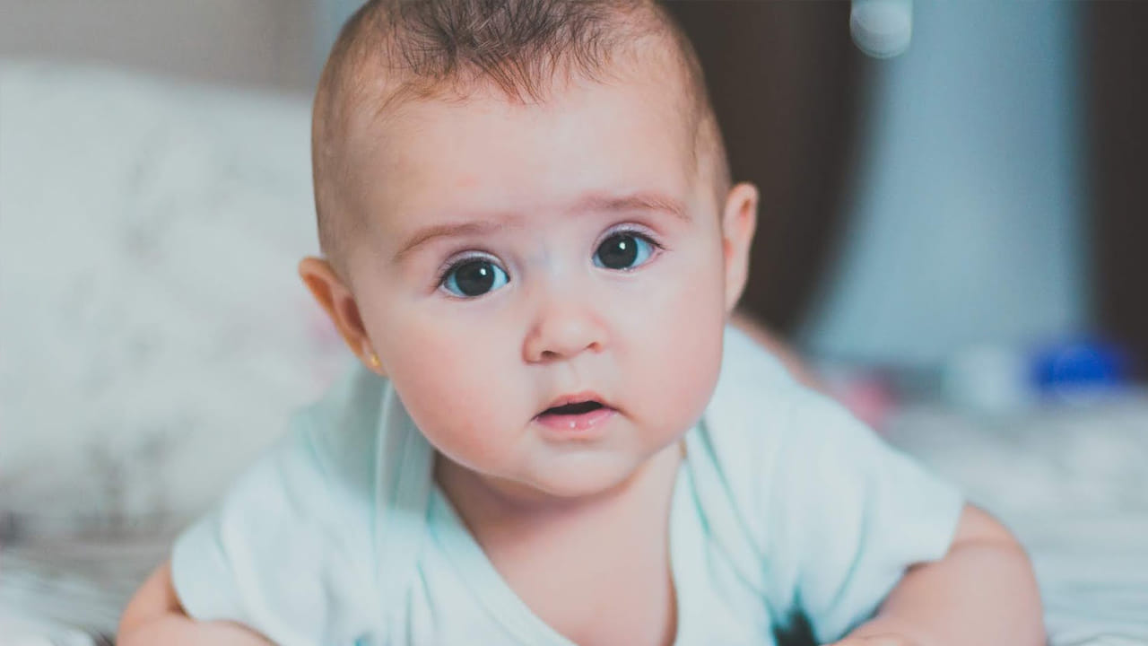 బంగారం లాంటి జీవితం.. 

ఒక్క మాటలో చెప్పాలంటే, శుక్రవారం పుట్టిన వారికి ఏది కోరుకుంటే అది లభిస్తుంది, ఏది కావాలనుకుంటే అది జరుగుతుంది. అలాంటి ప్రత్యేకమైన లక్షణం వీరికి ఉంటుంది. వారి జీవితం బంగారంలా ఉంటుందని చెప్పడంలో సందేహం లేదు.

(Disclaimer: ఈ వార్తలోని సమాచారం జ్యోతిష్యం, మత సంబంధమైన అంశాలపై ఆధారపడి ఉంది. దీనిని టీవీ9 తెలుగు  ధృవీకరించదు.)
