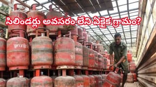 వార్నీ.! ఇంత కథ ఉందా..ఈ బబుల్‌ ర్యాప్‌ ఎందుకు తయారు చేశారో తెలిస్తే అవాక్కే