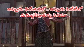 ఓటీటీలో దుమ్మురేపుతున్న రూ.300 కోట్ల సినిమా..