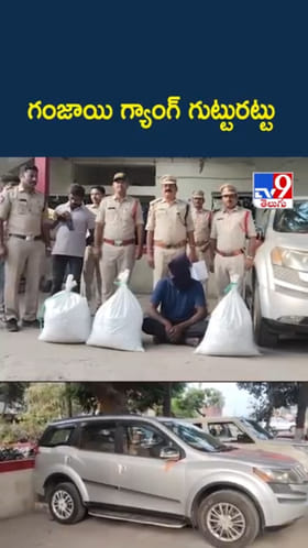 పోలీసుల వాహన తనిఖీల్లో.. గంజాయి గ్యాంగ్ గుట్టురట్టు