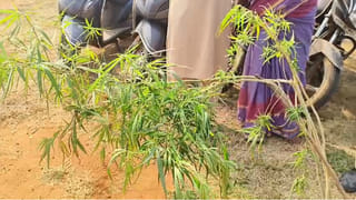 Crime News: అర్థరాత్రి పొలాల్లొని గుడిసెలోంచి గట్టిగా కేకలు.. ఉదయాన్నే వెళ్లి చూడగా..