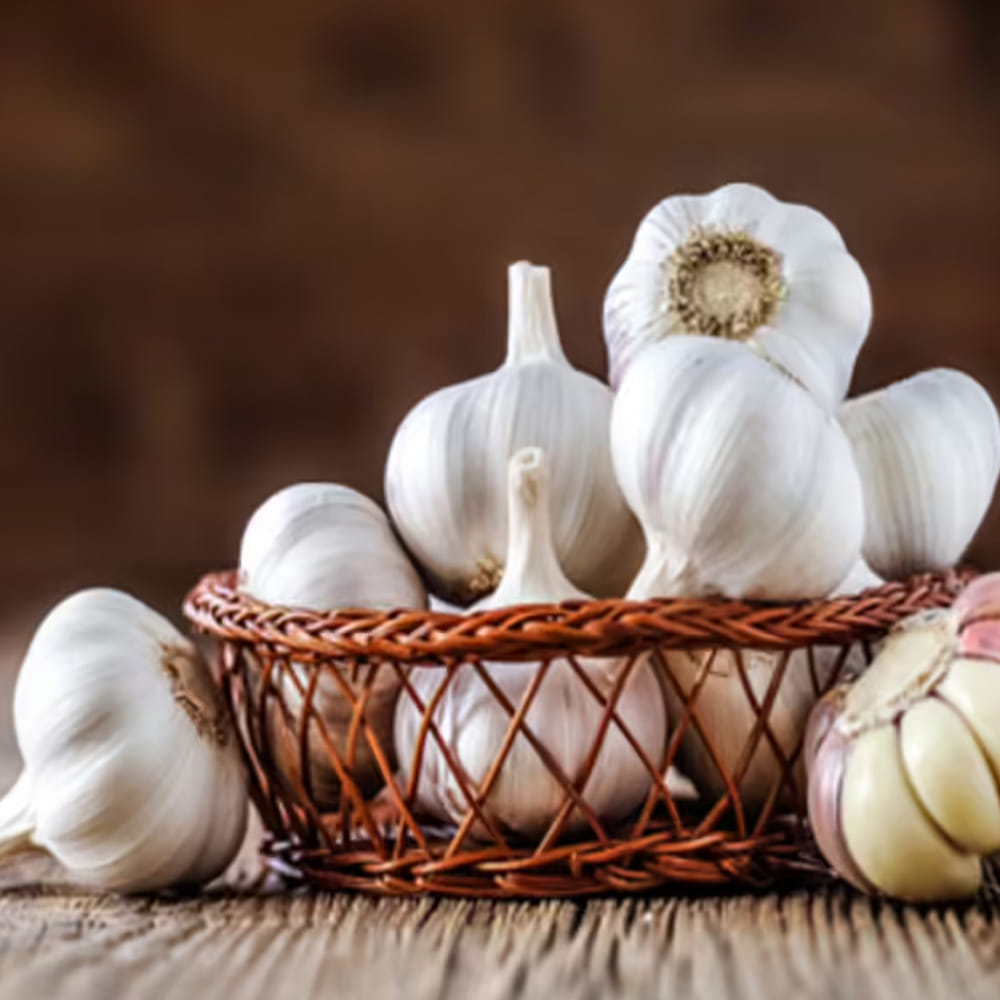 వెల్లుల్లిలో యాంటీ-క్యాన్సర్ లక్షణాలున్నాయని, ఇది అత్యంత ఘాటైన క్షార పదార్థమని ఆయన వివరించారు. దంచిన వెల్లుల్లి నూనెను నుదుటికి రాస్తే తలనొప్పి తగ్గుతుందని, ఇది కౌంటర్ ఇరిటెంట్‌గా పనిచేస్తుందని తెలుపుతున్నారు. అయితే, పచ్చి వెల్లుల్లిని నేరుగా తీసుకుంటే గ్యాస్ట్రిక్ సమస్యలున్న వారికి అవి తీవ్రమవుతాయని హెచ్చరిస్తున్నారు వైద్యులు.  ఆరోగ్య సంహితలో పేర్కొన్న విధంగా, వెల్లుల్లిని నువ్వుల నూనెలో మెంతులతో కలిపి పులియబెట్టి తీసుకోవడం వల్లనే దాని ఔషధ గుణాలు ఎలాంటి హాని లేకుండా శరీరానికి అందుతాయి. ఊరగాయల్లో ఈ పద్ధతిని పాటిస్తారు, ఇది వెల్లుల్లికి ఔషధ శక్తిని ఇస్తుంది.