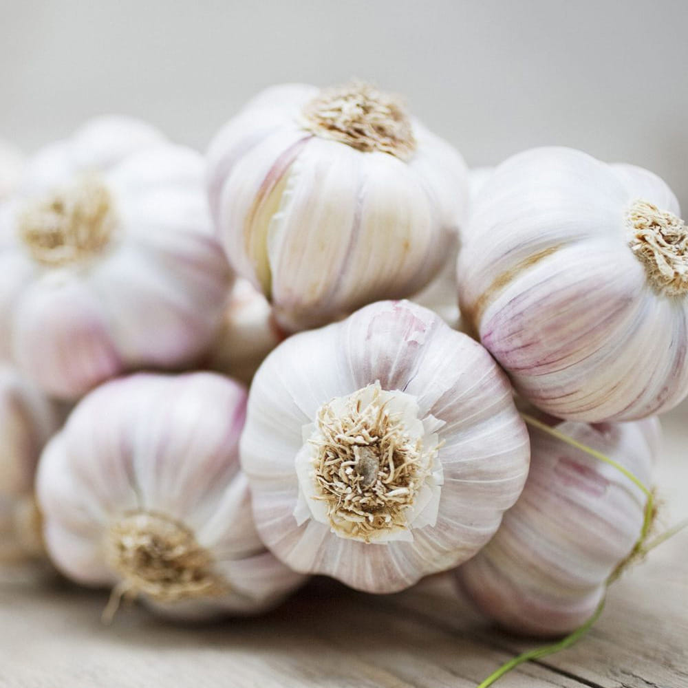 వెల్లుల్లి పాలను రాత్రిపూట తీసుకోవడం మంచిదని, పగటిపూట పాలు తీసుకోకూడదని సలహా తెలుపుతున్నారు.  కోవిడ్ తర్వాత ప్రజలు ఇంటర్నెట్‌లో దొరికిన సమాచారంతో పచ్చి పసుపు కొమ్ముల రసాలు తాగడం ప్రారంభించారని, ఇది సరైన పద్ధతి కాదు. పచ్చి పసుపును నేరుగా తీసుకుంటే అధిక వేడి, కడుపులో పుండ్లు వంటి సమస్యలు తలెత్తవచ్చని ఆయన తెలిపారు.
