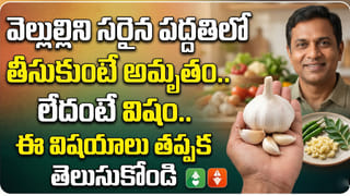 సమ్మర్ టూర్ ప్లాన్ చేస్తున్నారా..? అయితే ఈ దక్షిణాది హిడెన్ నేచర్ స్పాట్స్ తప్పక చూడండి!