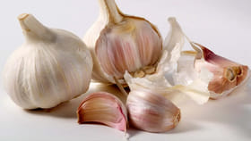 15 రోజులు వెల్లుల్లిని ఇలా తింటే మీ శరీరంలో వచ్చే మార్పులు ఇవే..