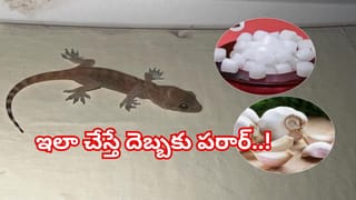 బాత్రూమ్‌లో వాడే బక్కెట్లు, మగ్గులు మరకలు, గీతలు పడకుండా ఇలా క్లీన్ చేయండి..నిమిషాల్లో కొత్తవాటిలా మెరుస్తాయి!