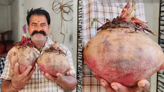 భారతదేశపు చిట్ట చివరి రోడ్డు ఎక్కడుందో తెలుసా..? రెండు సముద్రాల మధ్య కిర్రాక్ జర్నీ.. లైఫ్ లాంగ్ గుర్తుండిపోవాల్సిందే