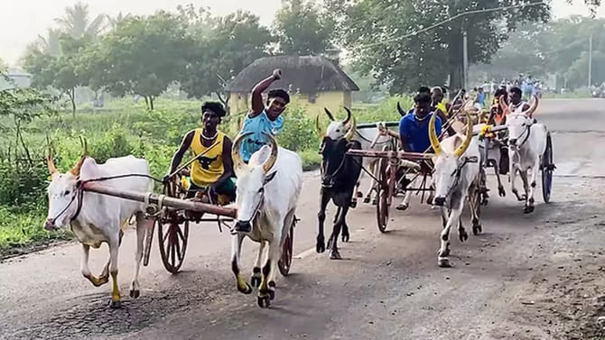 ఉగాది పండగక్కి జోడెద్దుల గిరకబండి పోటీలు.. ఈ ఆట స్పెష్టాలిటీ అదే!