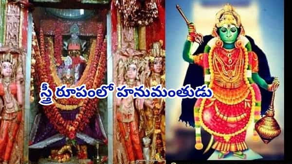 స్త్రీ రూపంలో కొలువైన హనుమంతుడు.. ఒక్కసారి దర్శిస్తే చాలు.. మీ కోరికలు నెరవేరడం ఖాయం!