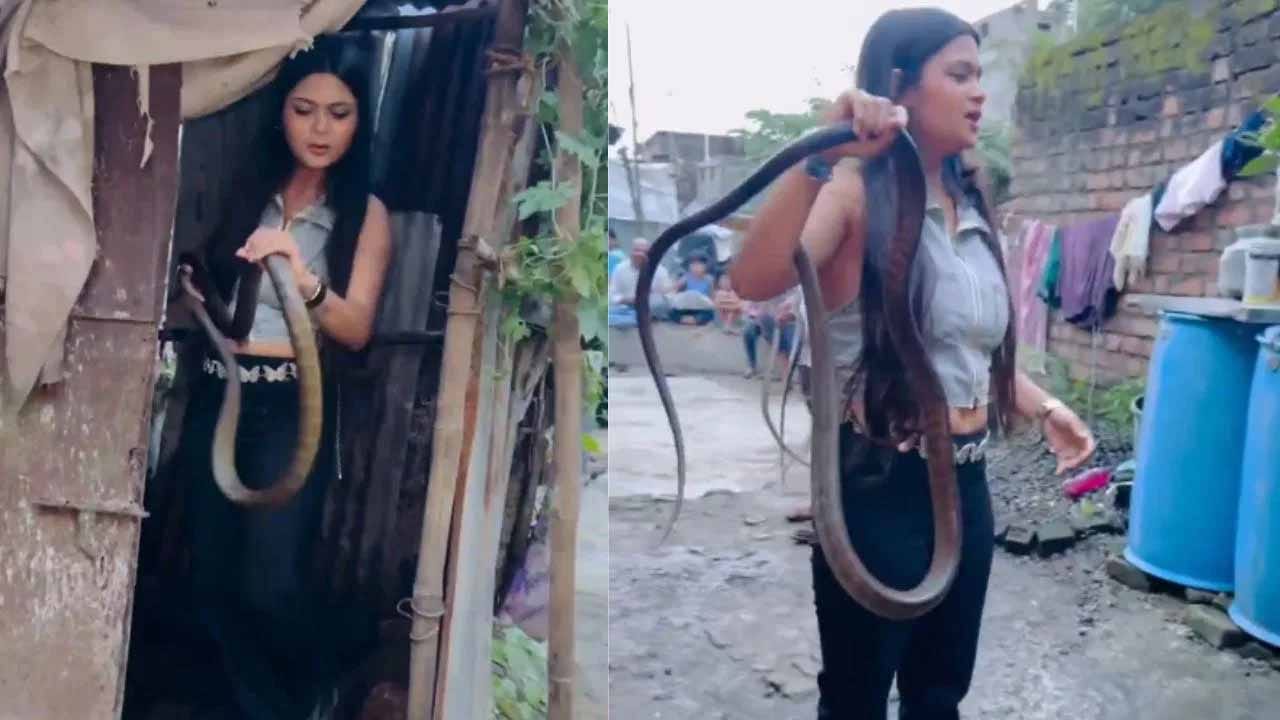 Viral Video: ఏం ధైర్యం రా సామి.. ఇంత పెద్ద పామును బొమ్మ చేసి ఆడుకున్న అమ్మాయి..!