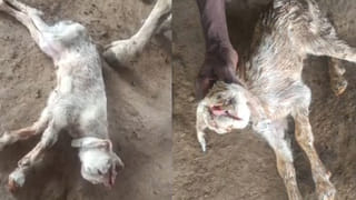 అయ్యో ఎంత కష్టమొచ్చిందో పాపం.. ఇద్దరు పిల్లలను చంపి, తాను ఆత్మహత్య చేసుకన్న తల్లి!