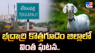 ఇద్దరు చిన్నారుల గొంతు నులిమి చంపిన తల్లి.. కారణం ఇదే