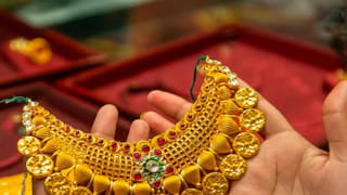 సీజన్‌ అయిపోతుంది..? ఈ పూలు ఎక్కడ కనిపించినా వదలకుండా తెచ్చేసుకోండి..! లాభాలు తెలిస్తే